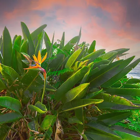 Rita's House דירה