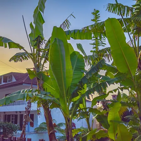 Lägenhet Rita's House