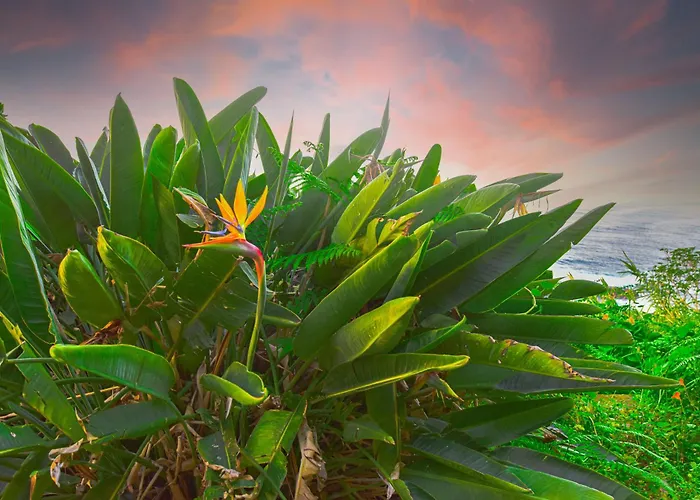 Rita's House Apartmán